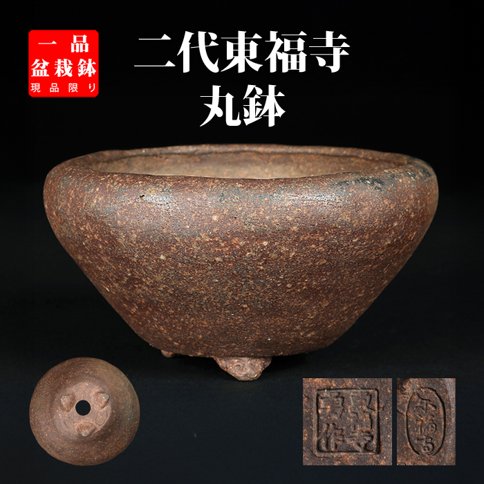 楽天市場】陶器鉢 サボテン鉢 植木鉢 多肉植物鉢 盆栽鉢 観葉