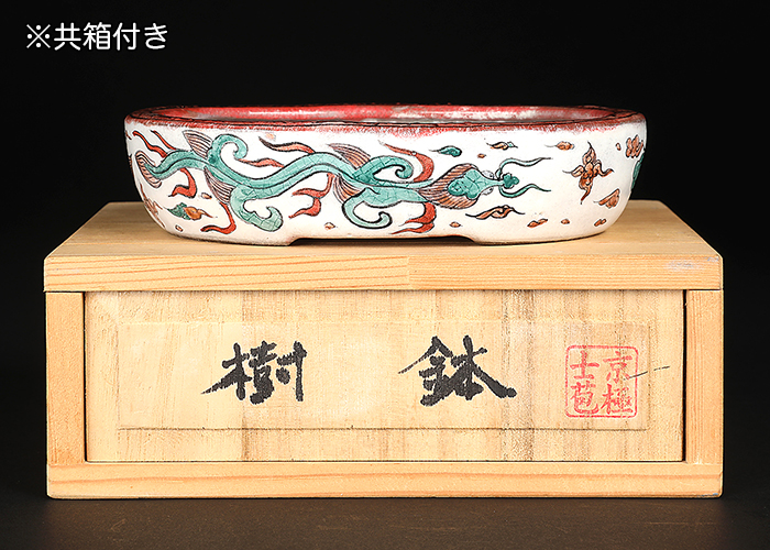 京極士苞五彩雨龍図楕円鉢 | 盆栽、盆栽書籍、盆栽鉢の通販