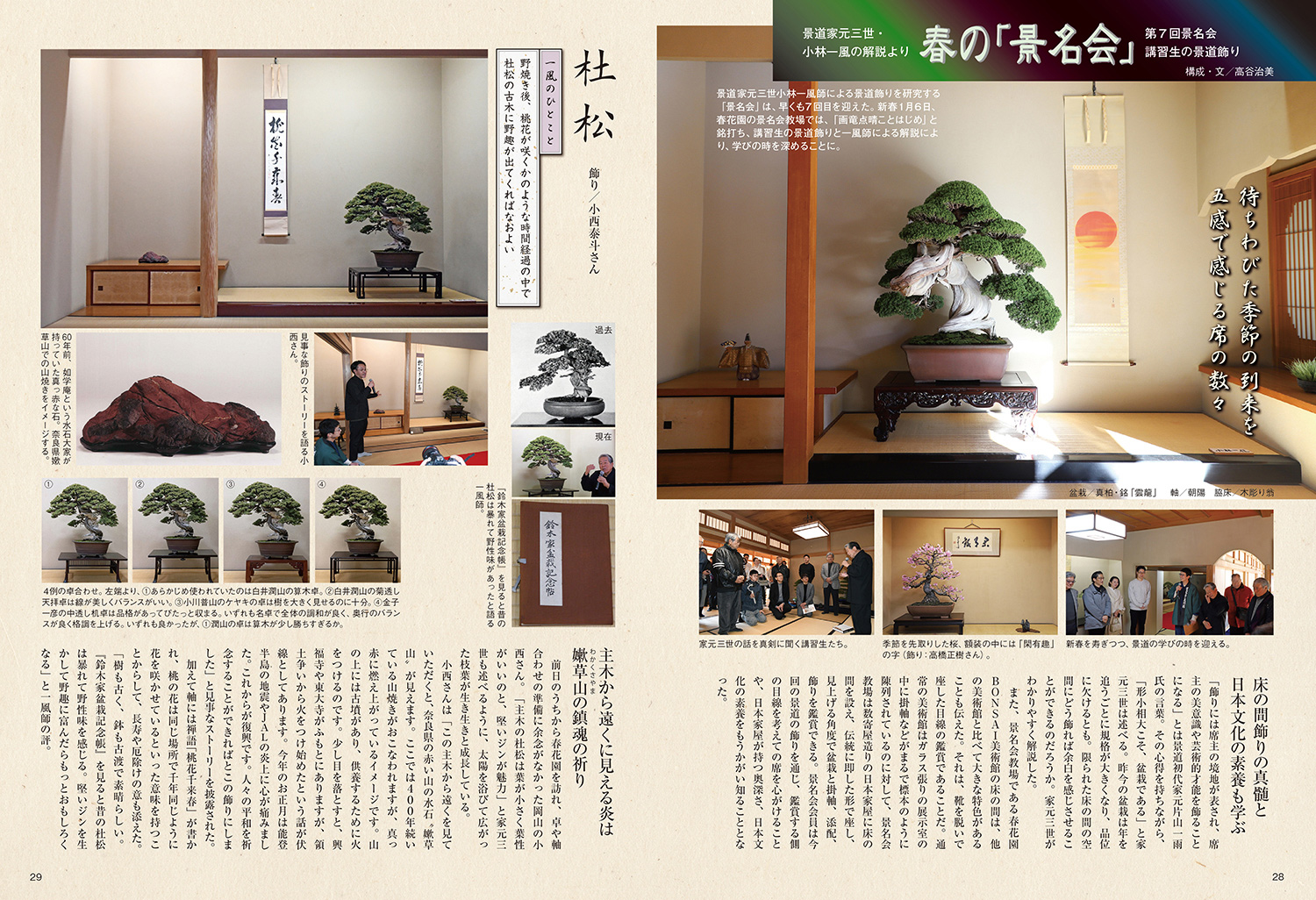 月刊「近代盆栽」2024年6月号 | 盆栽、盆栽書籍、盆栽鉢の通販│近代出版