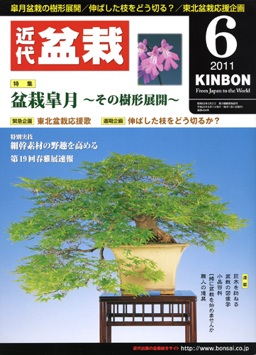 月刊「近代盆栽」2011年6月号