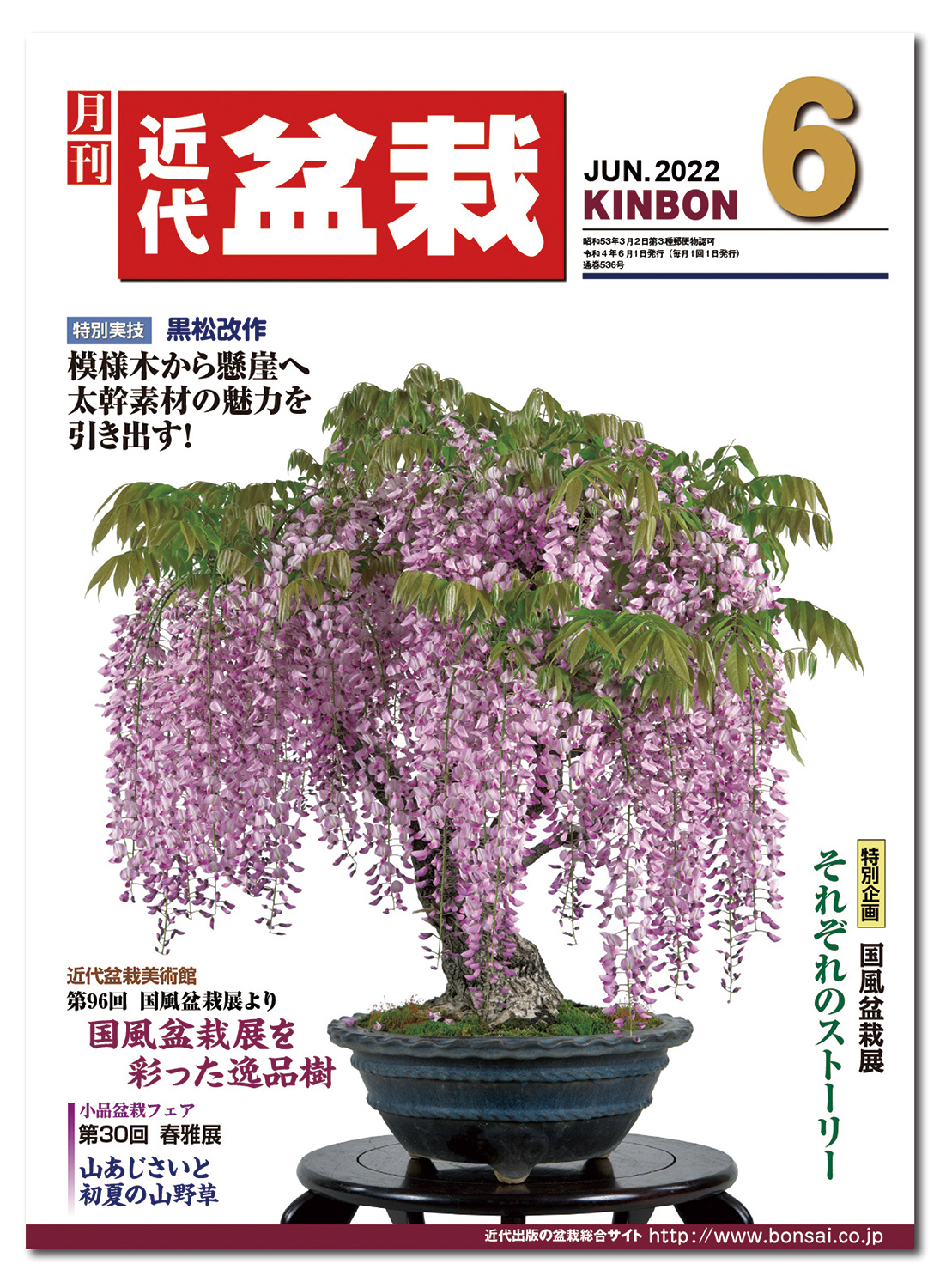 月刊「近代盆栽」2022年6月号 | 盆栽、盆栽書籍、盆栽鉢の通販│近代出版