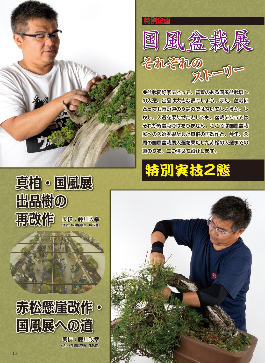 月刊「近代盆栽」2022年6月号 | 盆栽、盆栽書籍、盆栽鉢の通販