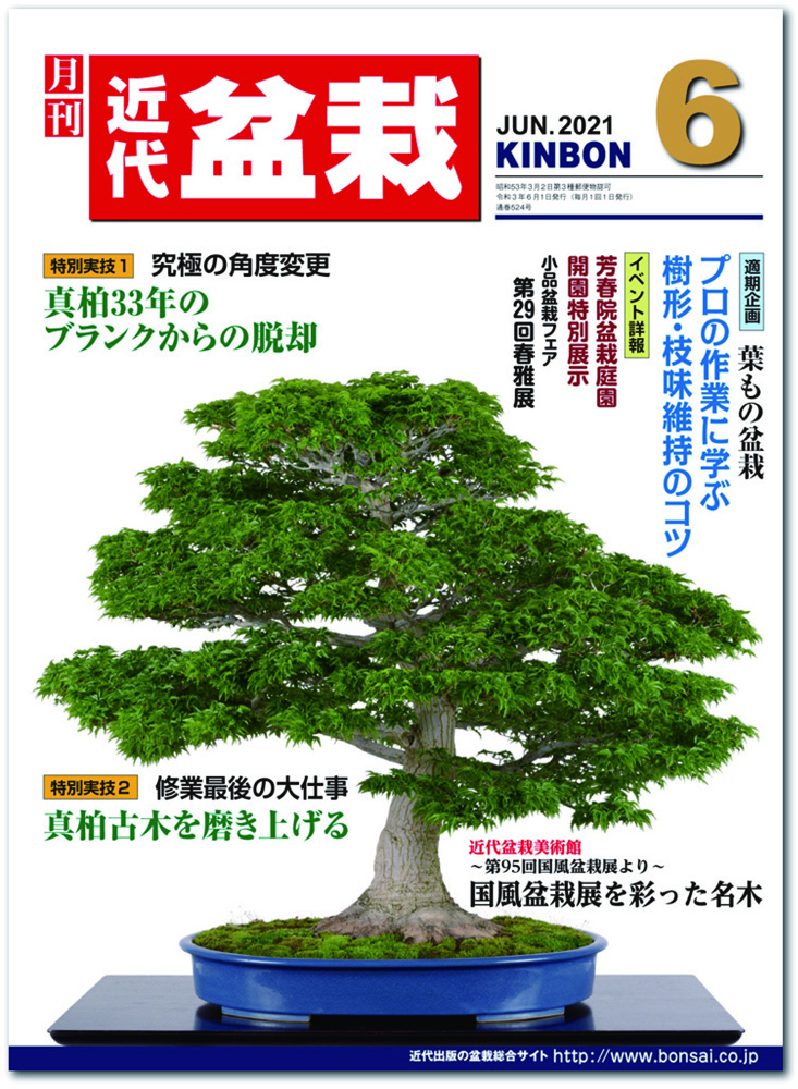 月刊「近代盆栽」2021年6月号 | 盆栽、盆栽書籍、盆栽鉢の通販│近代出版 月刊「近代盆栽」2021年6月号 | 盆栽、盆栽書籍、盆栽鉢の通販│近代出版