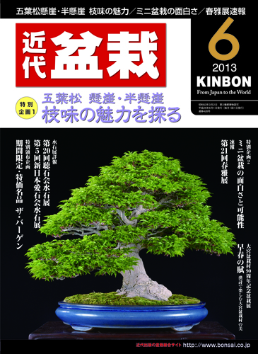 月刊「近代盆栽」2013年6月号