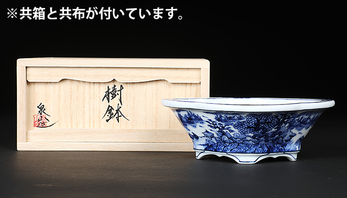 盆栽鉢　希少　水山　高級盆栽鉢古和鉢四面染付手書正方角深鉢懸崖鉢 w018190_h.jpg