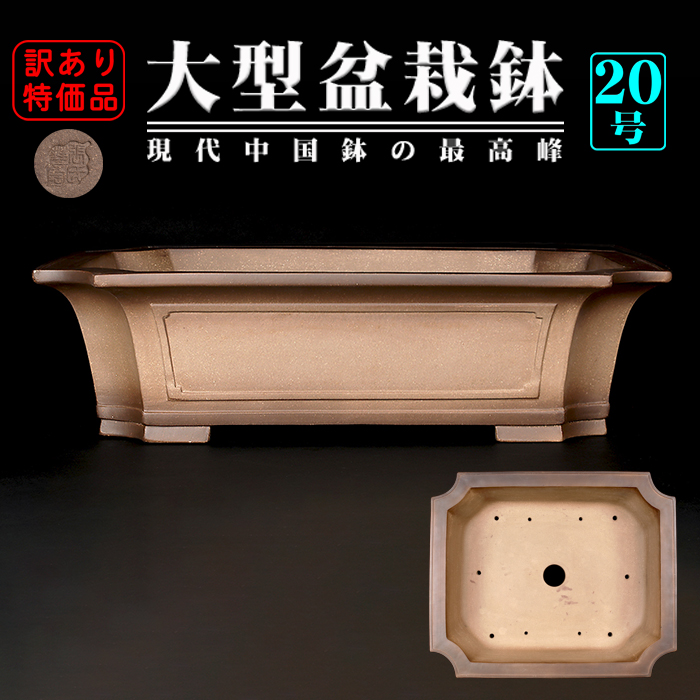Amazon.co.jp: 常滑焼 時代鉢 和泉屋製陶所 銭号磨製 紫泥 切立