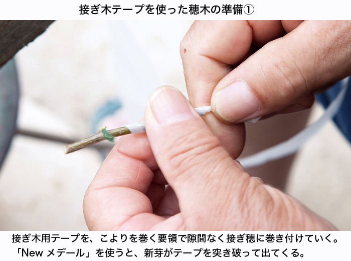 接ぎ木テープ 植物接ぎ木のための樹木剪定のために伸縮可能な黄色の植物テープ
