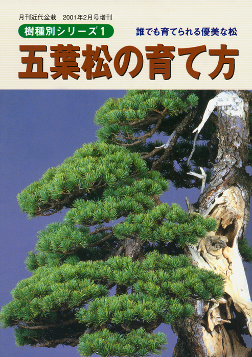 五葉松の育て方 | 盆栽、盆栽書籍、盆栽鉢の通販│近代出版