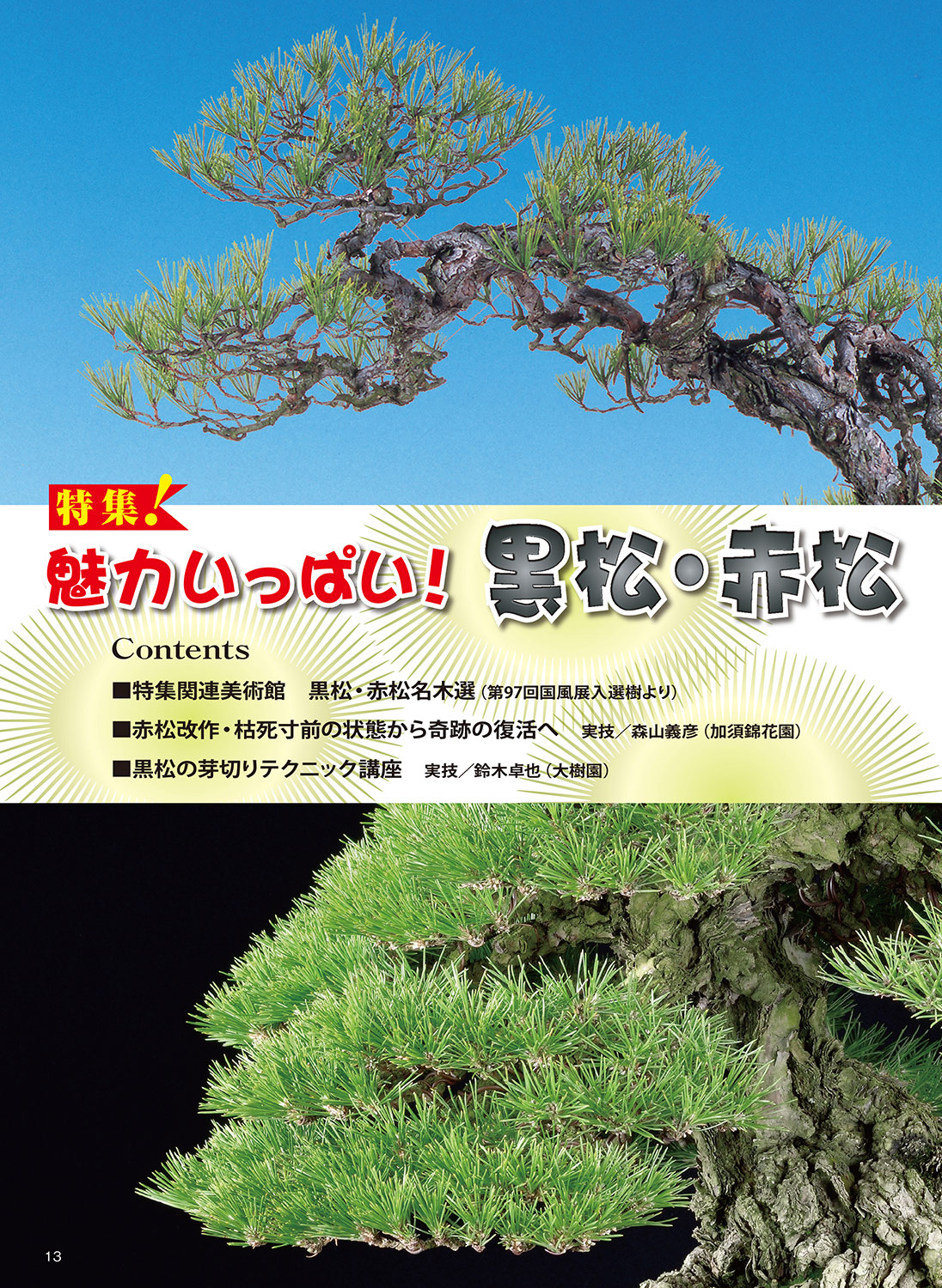 月刊「近代盆栽」2023年7月号 | 盆栽、盆栽書籍、盆栽鉢の通販