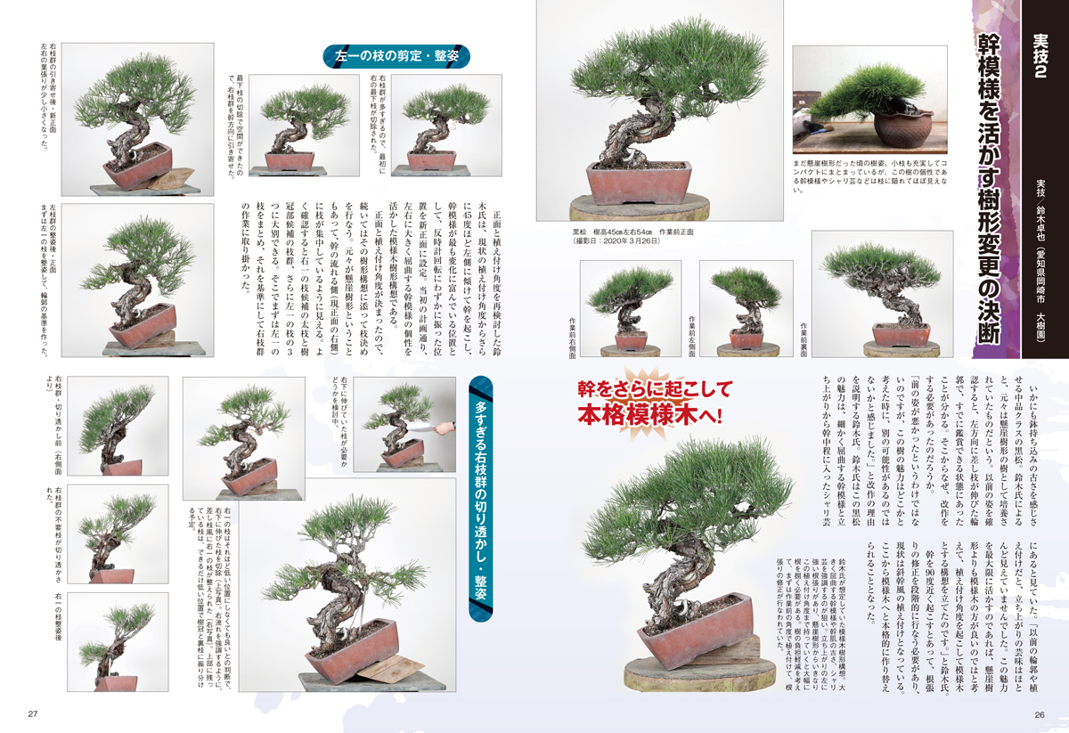 Amazon.co.jp: &黒松スペシャル 月刊「近代盆栽」増刊 鈴木俊則