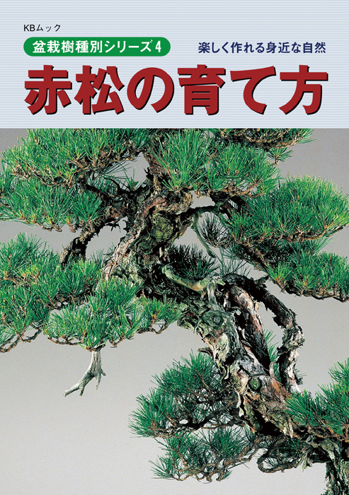 赤松の育て方 | 盆栽、盆栽書籍、盆栽鉢の通販│近代出版