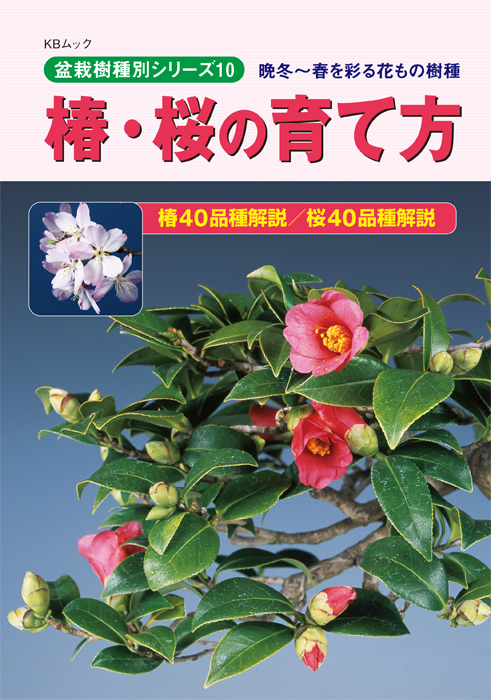 椿 桜の育て方 盆栽 盆栽書籍 盆栽鉢の通販 近代出版