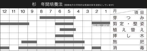 八ッ房瑞寿杉 | 盆栽、盆栽書籍、盆栽鉢の通販│近代出版