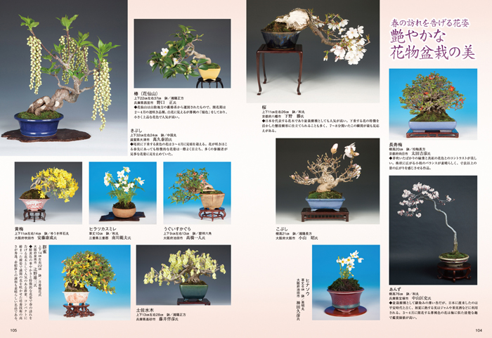 月刊「近代盆栽」2018年6月号 | 盆栽、盆栽書籍、盆栽鉢の通販