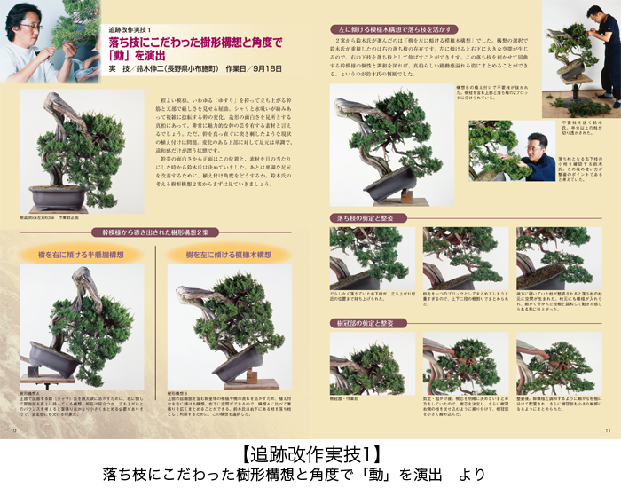 真柏のすべて | 盆栽、盆栽書籍、盆栽鉢の通販│近代出版