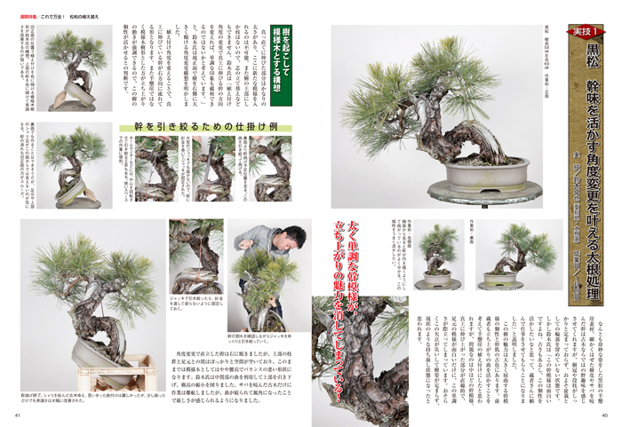 Amazon.co.jp: &黒松スペシャル 月刊「近代盆栽」増刊 鈴木俊則