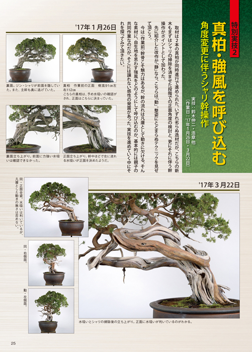 月刊「近代盆栽」2017年8月号 | 盆栽、盆栽書籍、盆栽鉢の通販