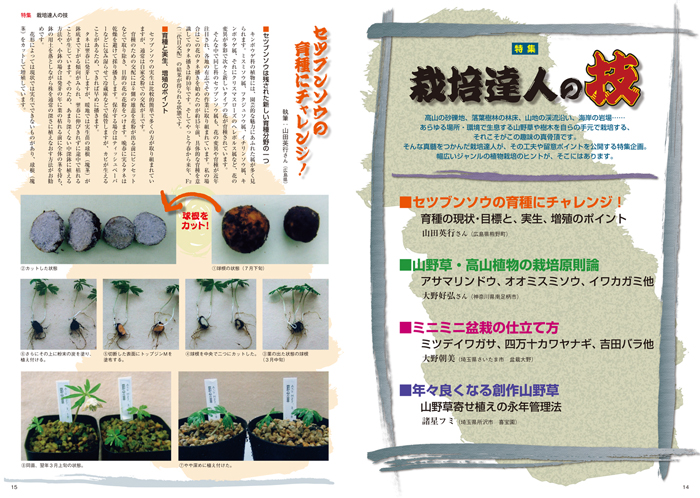 隔月刊「山野草とミニ盆栽」18年早春号 | 盆栽、盆栽書籍、盆栽