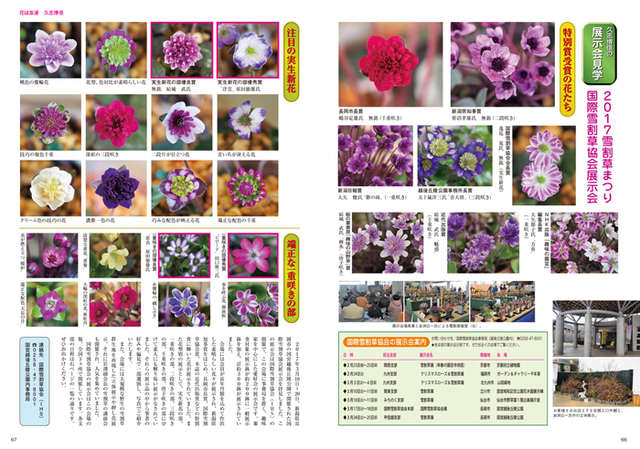 隔月刊「山野草とミニ盆栽」18年早春号 | 盆栽、盆栽書籍、盆栽
