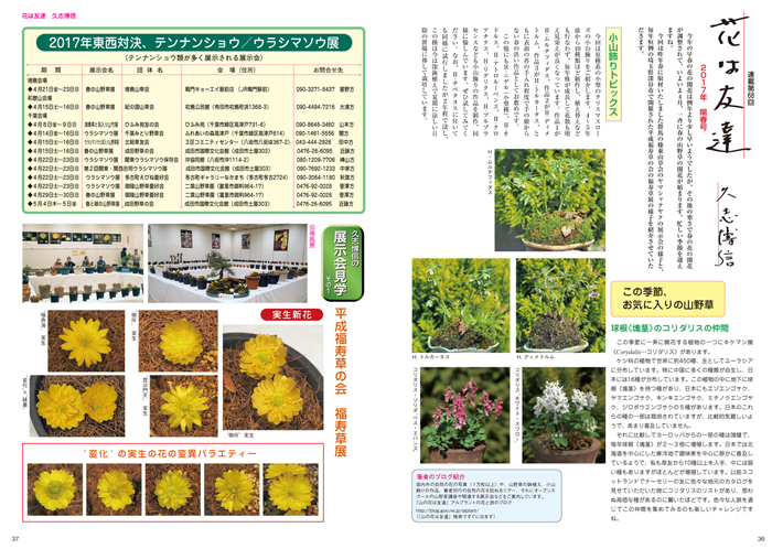 隔月刊「山野草とミニ盆栽」17年陽春号 | 盆栽、盆栽書籍、盆栽 隔月刊「山野草とミニ盆栽」17年陽春号 | 盆栽、盆栽書籍、盆栽