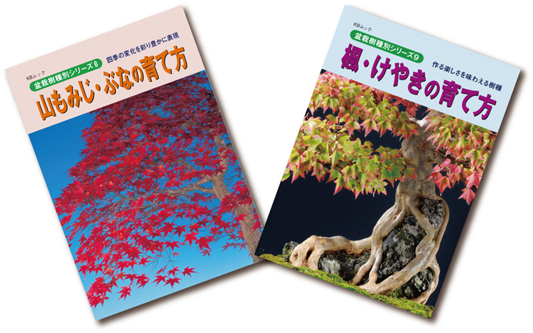 盆栽を代表する葉物盆栽 山もみじ・ぶな・楓・けやきの育て方2冊セット ...