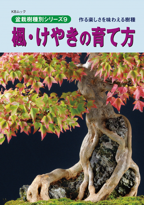 盆栽を代表する葉物盆栽 山もみじ・ぶな・楓・けやきの育て方2冊セット ...