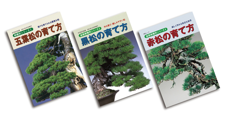 盆栽を代表する松盆栽 五葉松 黒松 赤松の育て方3冊セット 盆栽 盆栽書籍 盆栽鉢の通販 近代出版