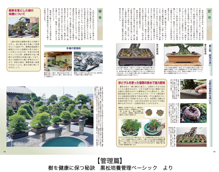 盆栽の2大人気樹種 黒松と五葉松を極める2冊セット | 盆栽、盆栽