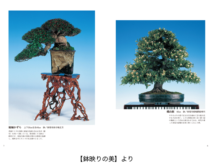 樹鉢作家のレジェンド 東福寺・涌泉・香山を探る2冊セット | 盆栽