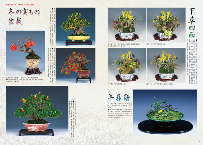 隔月刊「山野草とミニ盆栽」17年新春号 | 盆栽、盆栽書籍、盆栽鉢の