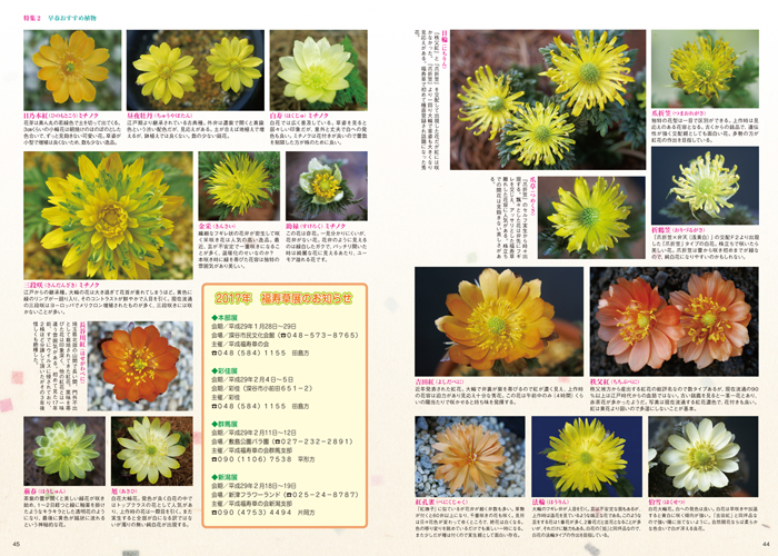 隔月刊「山野草とミニ盆栽」17年新春号 | 盆栽、盆栽書籍、盆栽 隔月刊「山野草とミニ盆栽」17年新春号 | 盆栽、盆栽書籍、盆栽