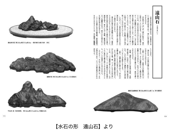 水石 遠山 四万十川石 理想型遠山 equaljustice.wy.gov