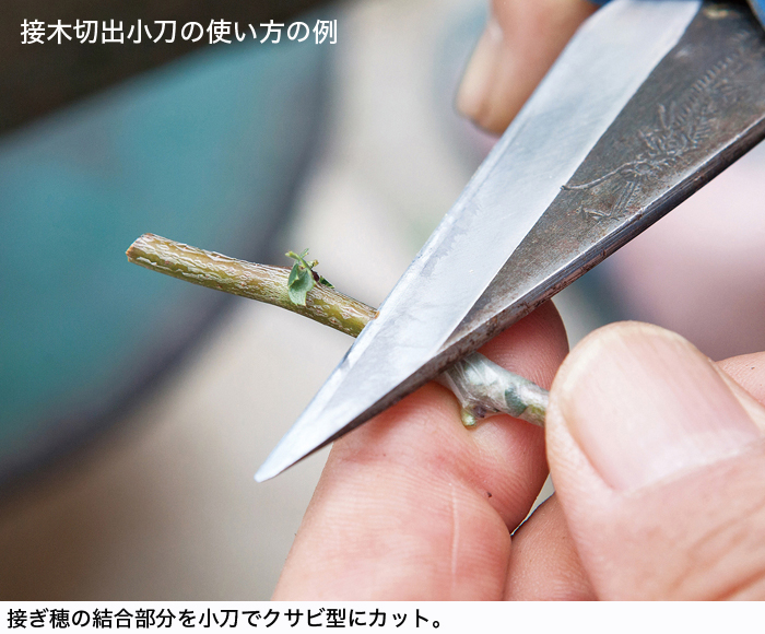 サヤ付切出小刀 | 盆栽、盆栽書籍、盆栽鉢の通販│近代出版