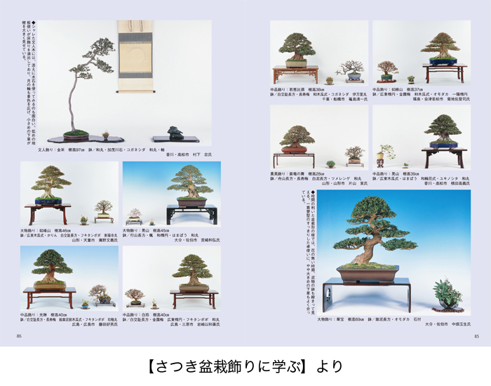 さつき盆栽 樹づくりの魅力と真髄 盆栽 盆栽書籍 盆栽鉢の通販 近代出版