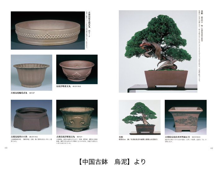 日本超安い 紫砂花盆 • 盆栽芸術植木鉢 工芸品