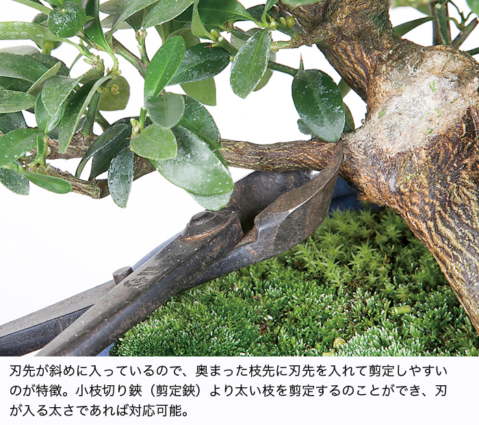 芽摘又枝切鋏 | 盆栽、盆栽書籍、盆栽鉢の通販│近代出版