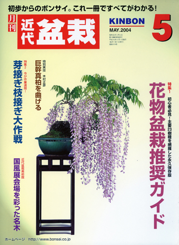 月刊「近代盆栽」2004年5月号