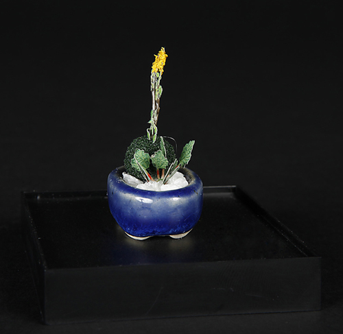 美芸 盆栽鉢 楕円 黄