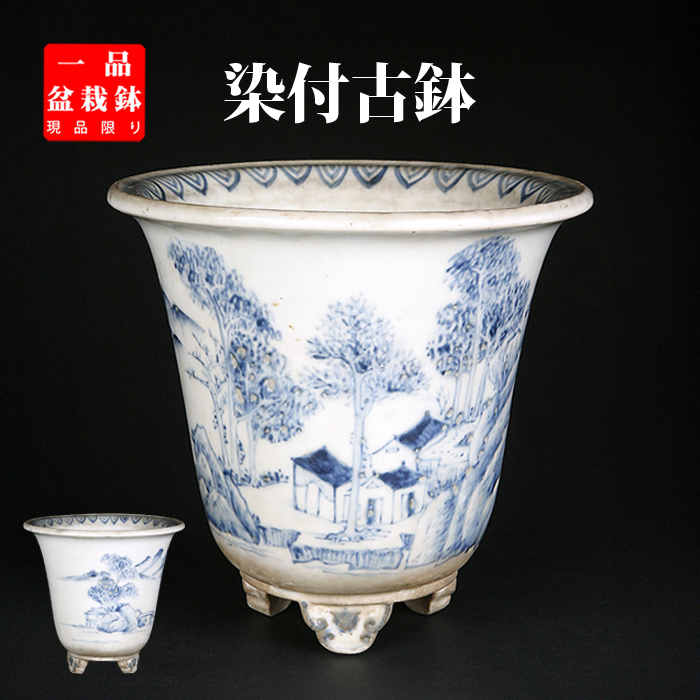 支那鉢（中国古鉢） | 盆栽、盆栽書籍、盆栽鉢の通販│近代出版