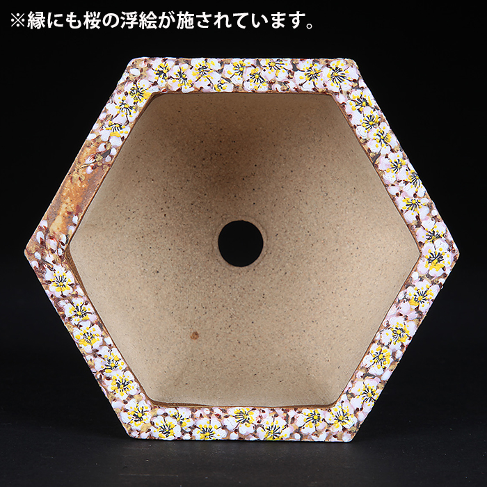六代渋草柳造浮絵桜図六角鉢 | 盆栽、盆栽書籍、盆栽鉢の通販