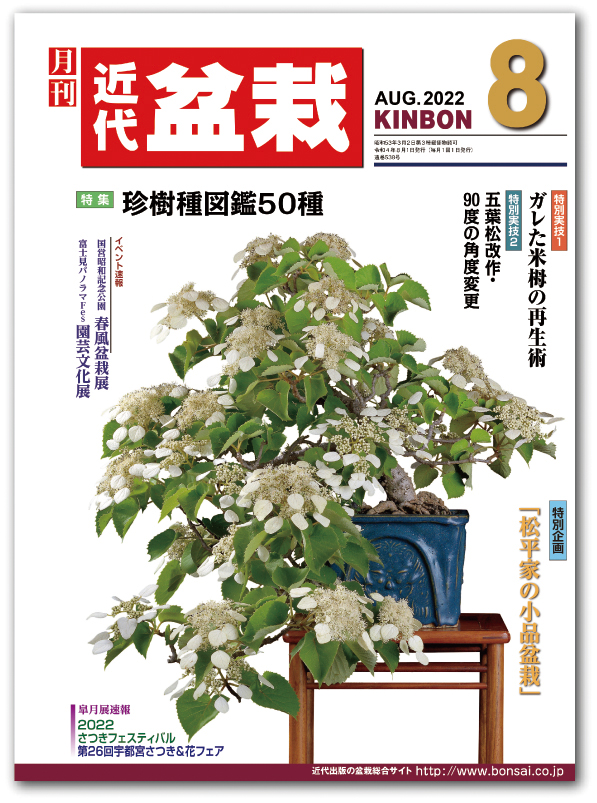 月刊「近代盆栽」2022年8月号 | 盆栽、盆栽書籍、盆栽鉢の通販│近代出版 月刊「近代盆栽」2022年8月号 | 盆栽、盆栽書籍、盆栽鉢の通販│近代出版