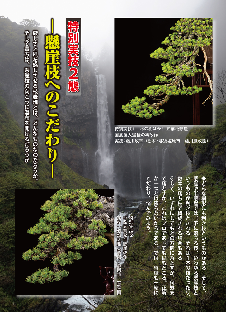 月刊「近代盆栽」2021年8月号 | 盆栽、盆栽書籍、盆栽鉢の通販