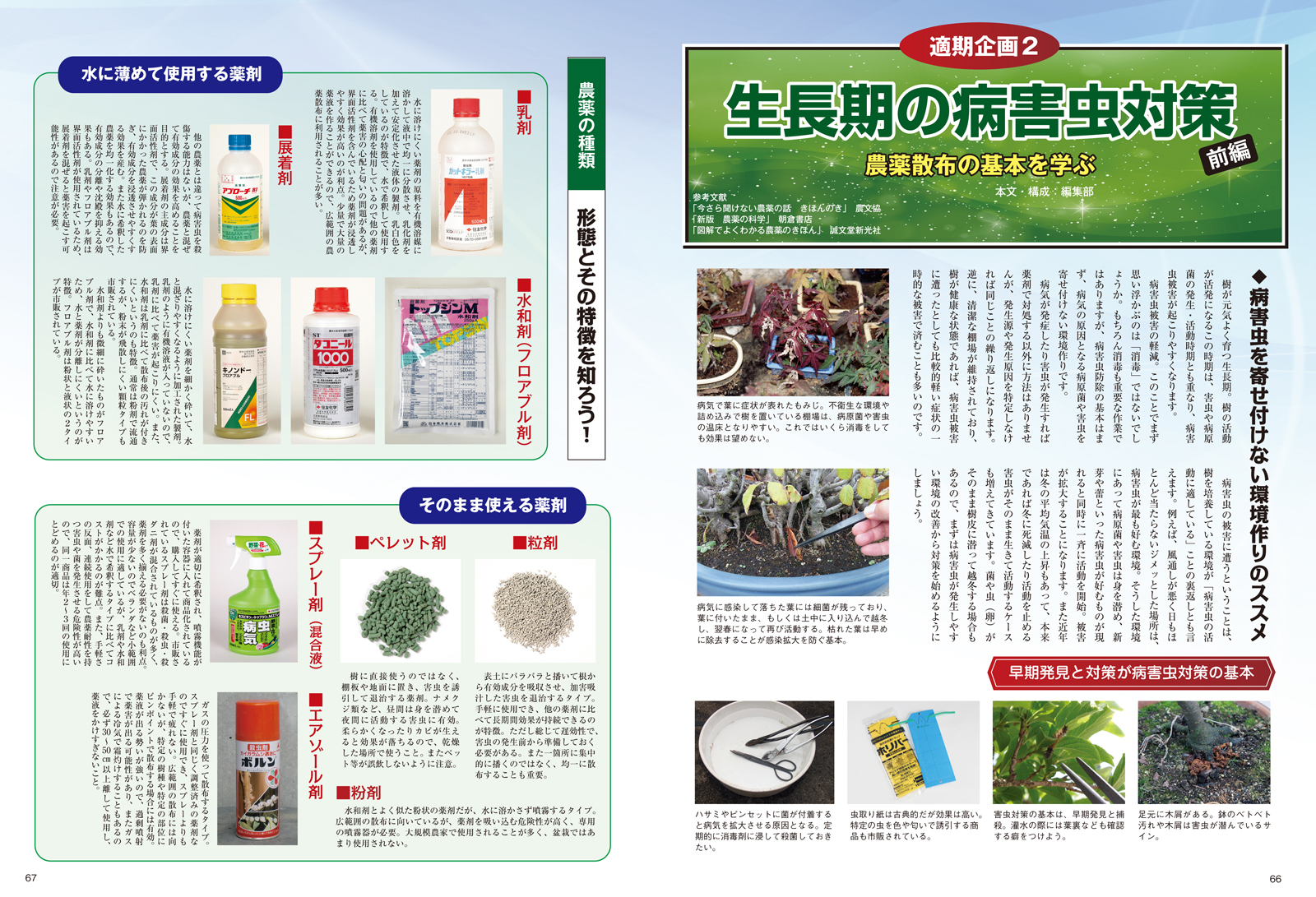 小品盆栽 山野草鉢 松本松石造