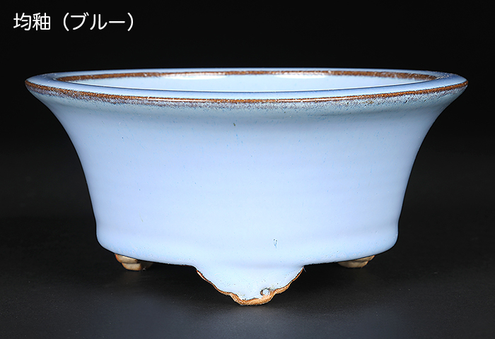 大昭渡り広東鉢 ③ 盆栽鉢 盆栽 大昭渡り広東鉢 盆栽 盆栽鉢