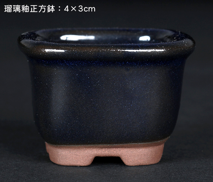 瀬戸焼文山窯色小鉢12点セット | 盆栽、盆栽書籍、盆栽鉢の通販 瀬戸焼文山窯色小鉢12点セット | 盆栽、盆栽書籍、盆栽鉢の通販