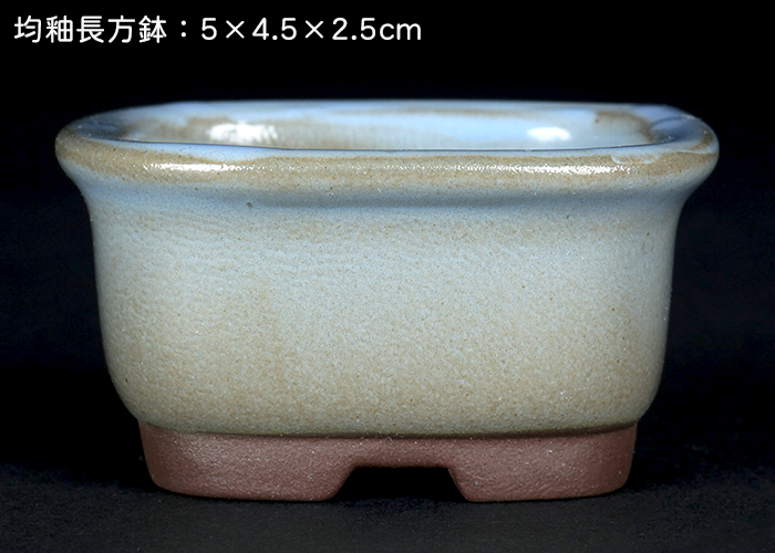 瀬戸焼文山窯色小鉢12点セット | 盆栽、盆栽書籍、盆栽鉢の通販 瀬戸焼文山窯色小鉢12点セット | 盆栽、盆栽書籍、盆栽鉢の通販