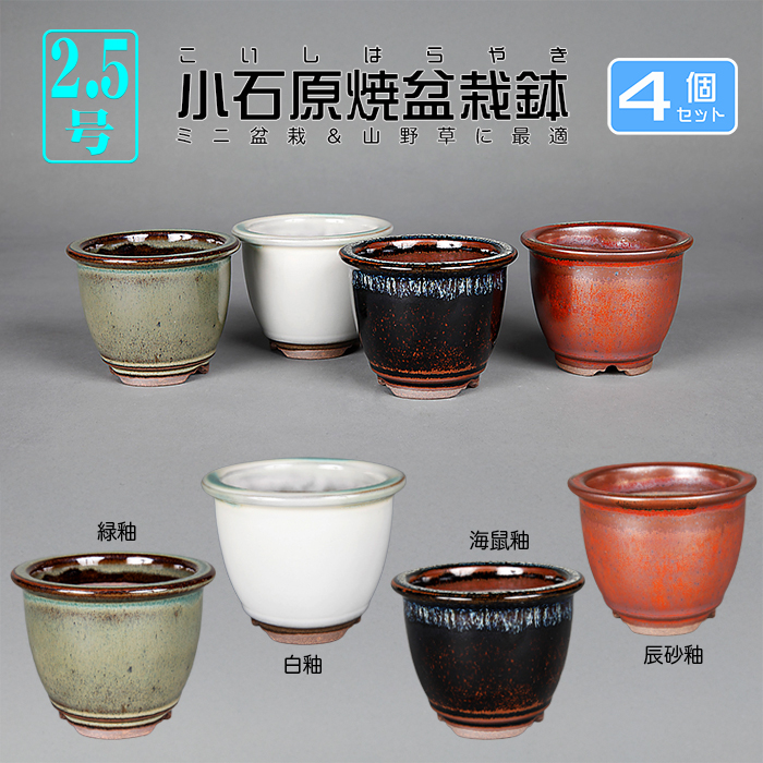 小石原焼2.5号深外縁丸鉢4点セット