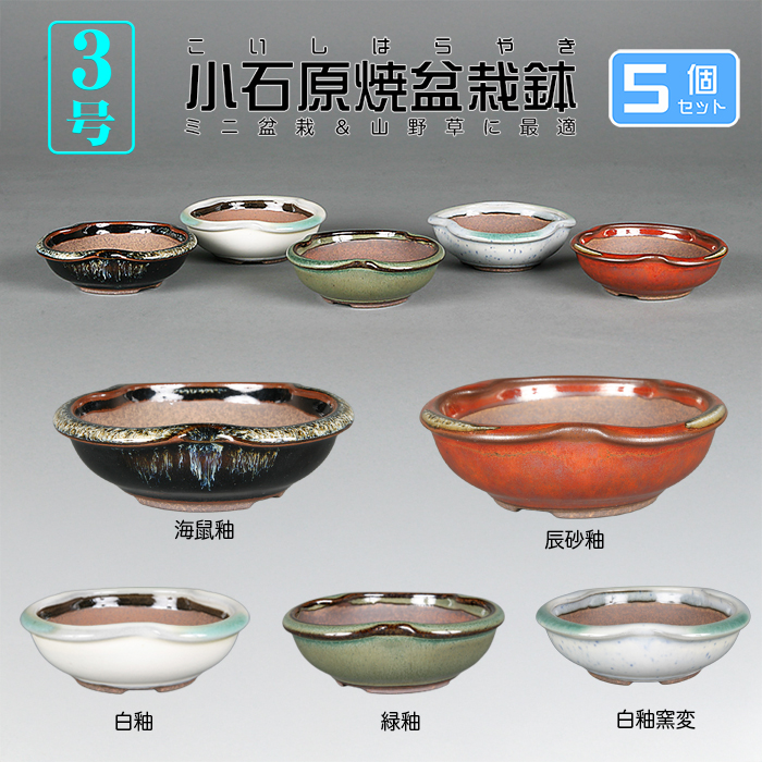 小石原焼3号変形丸鉢5点セット | 盆栽、盆栽書籍、盆栽鉢の通販