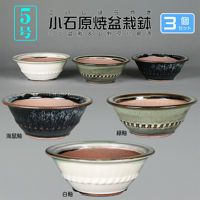 小石原焼5号胴縄丸鉢3点セット