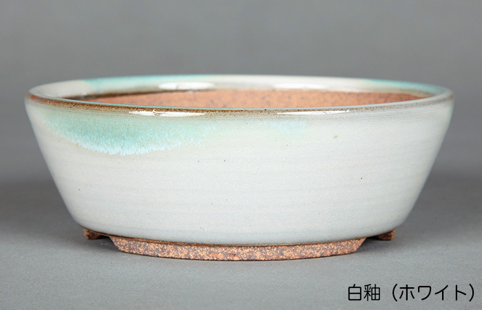 小石原焼3.5号切立丸鉢 | 盆栽、盆栽書籍、盆栽鉢の通販│近代出版